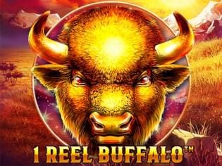 1 Reel Buffalo screenshot